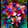 Daydream_thumb