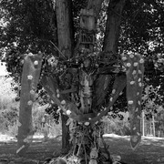 Camayochurchgrounds2_card
