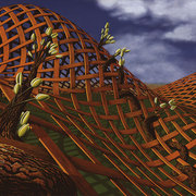 Hedera_ferrugo_card