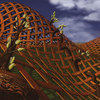 Hedera_ferrugo_thumb