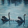 Cisnes_1_thumb