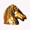 Calutul_auriu_2_thumb