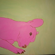 Img_5656_card