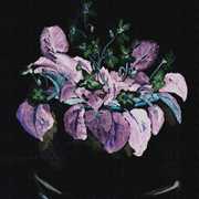 Violet_card
