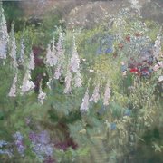 Foxgloves_2_150x180_5500_card