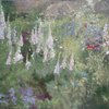 Foxgloves_2_150x180_5500_thumb