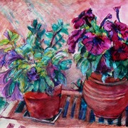 Petunias_card