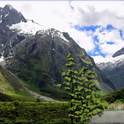 915-controlling_the_siberian_pass_card