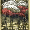37flamingoeslitho_thumb