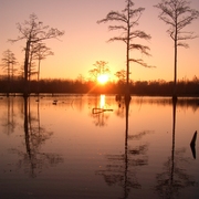 Duck_hunting_12-22-05_027_card