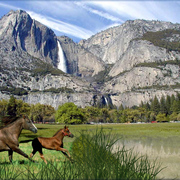 916-natural_runners_card