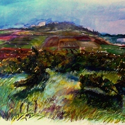 Grapevines_in_autumn_card