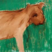 Adog_card