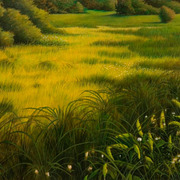Img1753_card