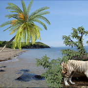 917-white_beach_predator_card