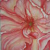 Red_002_thumb