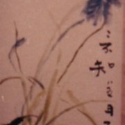 Ch-15-04-2413-orchid-scroll-172-jpg_card