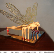 蜻蜓0_card