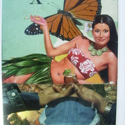 Yalpics_031_card