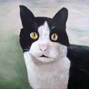 Cat_card