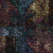Flying_vee1_copy_card