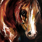 New-sm-3624-ebony-nights-eq_card
