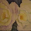 Inlet_and_white_rose_003_thumb