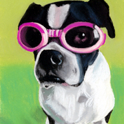 Josie2_card
