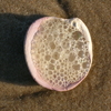 2845948110010816243bhvyfz_fs_thumb