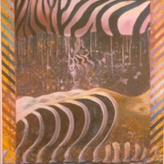 Zeb_con-19_zebra_melt_card