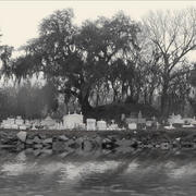 Bayou_cemetary_card