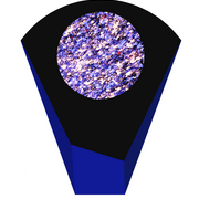 Andromeda_card