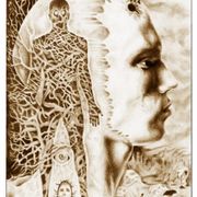 Graf2_card
