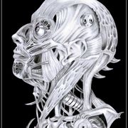 Graf23_card