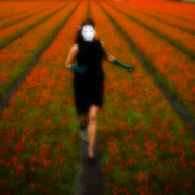 Run_card
