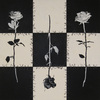 Checkered_roses-1_thumb