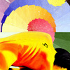 Answertoquestions_thumb
