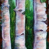 Aspen_44-20_thumb
