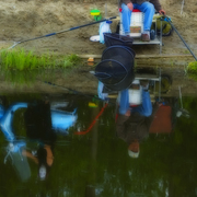 Reflection_card