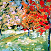 Tre_alberi-angolo_di_bosco_card