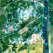 Wienerwald_beim_kalenberg_card