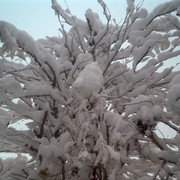 Img_0851_card