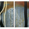 Between_the_birdhouse_and_the_bone_tree_thumb