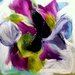Annette89_square