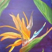Bird_of_paradise2_card