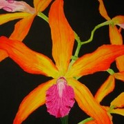 Orchida_card