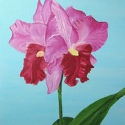 Orchid3a_card