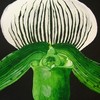 Slipper_orchid3a_thumb