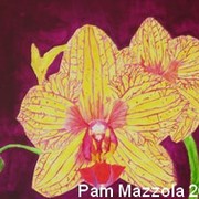 Orchidb_card