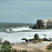 920-african_coast_card